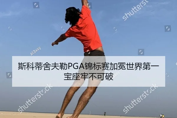 si-ke-di-she-fu-lei-jin-biao-sai-jia-mian-shi-jie-di-yi-bao-zuo-lao-bu-ke-po-2-697.jpg